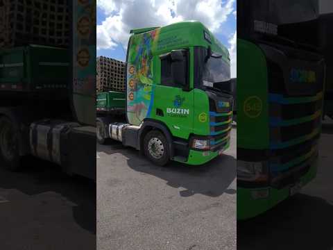 br-116 murici em Cabrobó-PE #fé #automobile #deus #truck #yt #turismo #caminhoneiro #trip #roadtrip