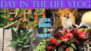 DAY IN THE LIFE VLOG | Petco, Plants, & More!
