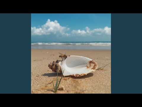 Yemaya Olodo Assessu (Smooth) [Jazz] [Strings]