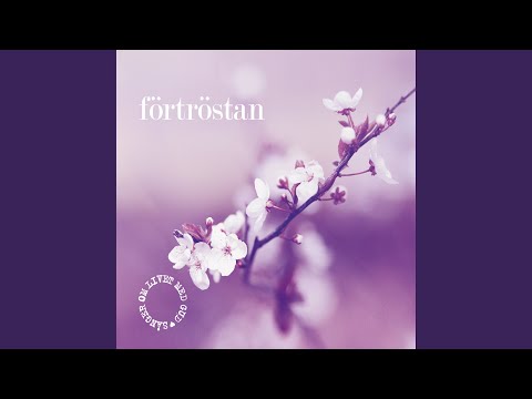 På Dig Min Gud Förtröstar Jag - Misc Praise Songs