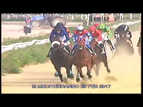 Galoppo corse del 25 Febbraio 2017