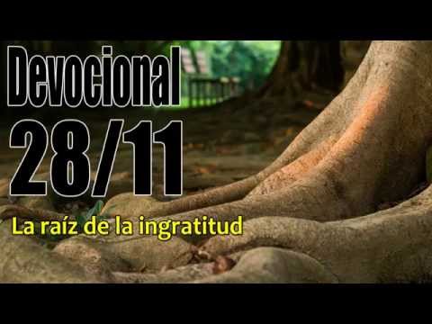 La raíz de la ingratitud. Devocional John Piper solid joys 28/11