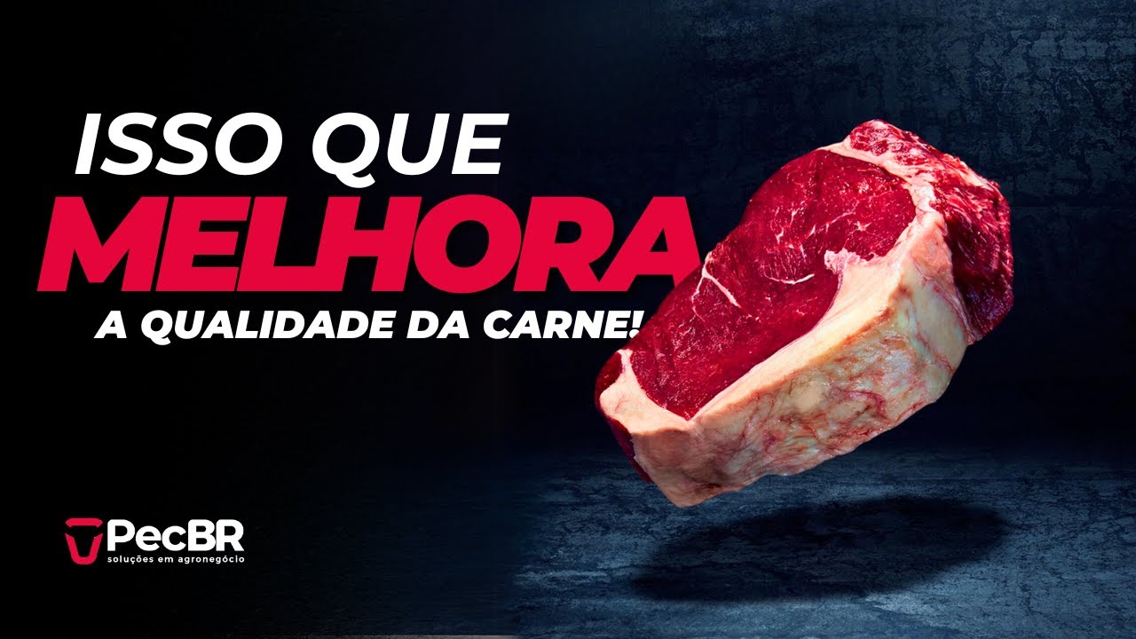 OS 4 FATORES DA QUALIDADE DE CARNE
