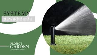 Zobacz filmy filmy