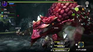 【MHXX】モンハンXX まったり村クエなど #1