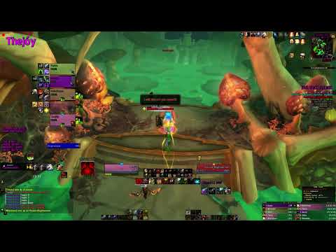 Plaguefall Mythic +15 score +2 FORTIFIED SPITEFUL VOLCANIC PRIDEFUL ​​Protection Paladin