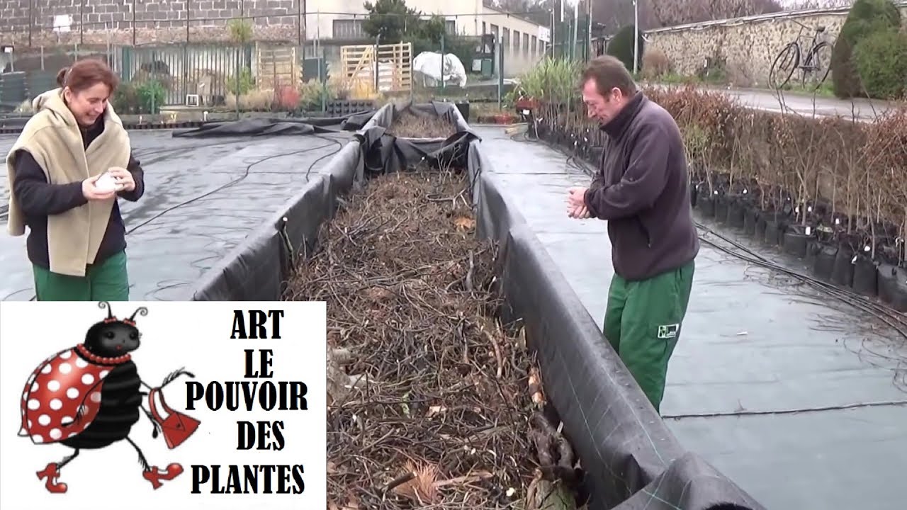 Jardinage: Construction d'un bac de permaculture hors sol (Avec Tonnerre D'engrais engrais bio)