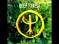DEEP FOREST- Desert walk. (Original album version).