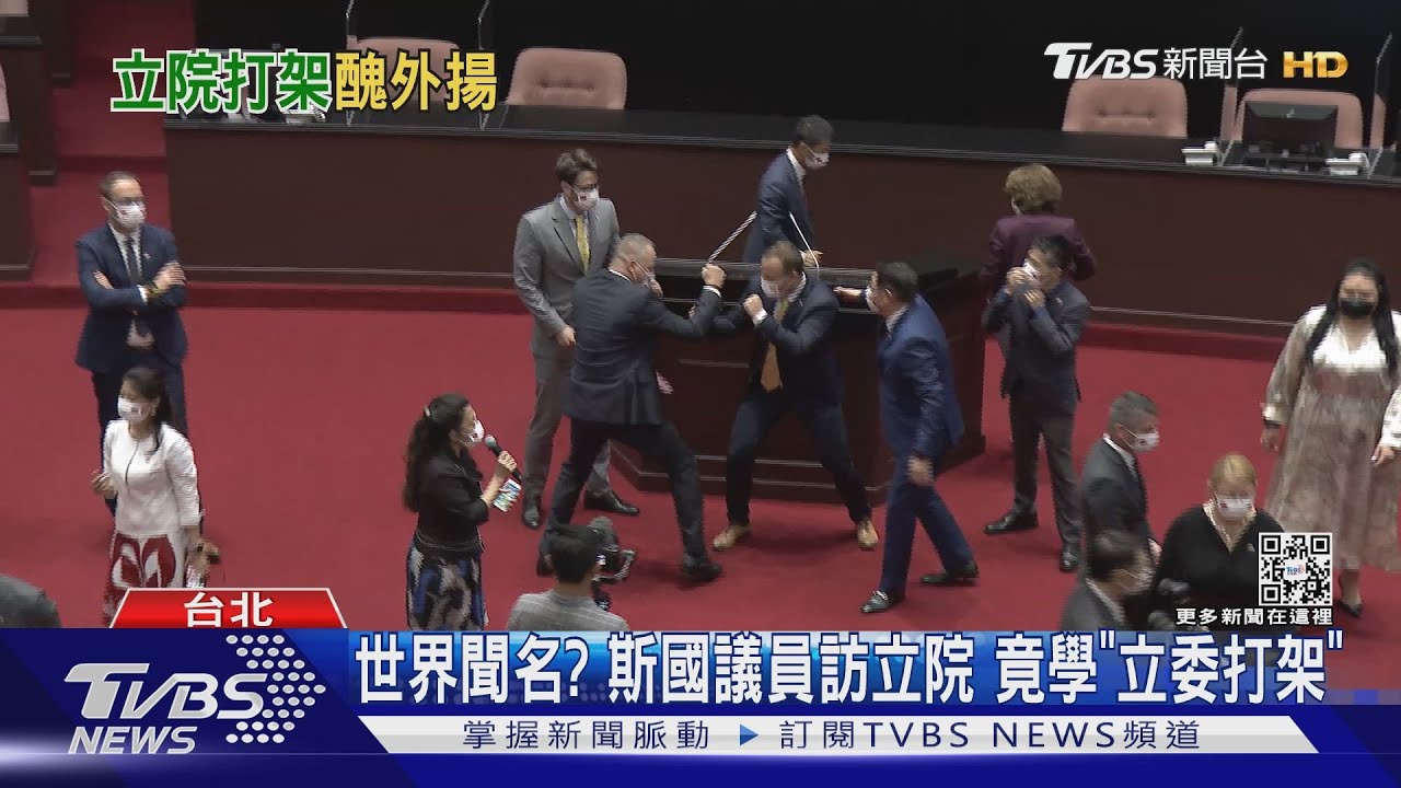 紅到國外去？ 斯洛伐克議員訪立院　竟還原「立委打架」