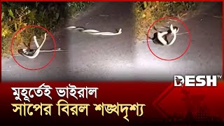 Download lagu মাদারীপুরে দেখা সাপের বিরল শঙ্খদৃশ্য, মুহূর্তেই ভাইরাল | Snake Conch | Snake Video | Desh TV mp3