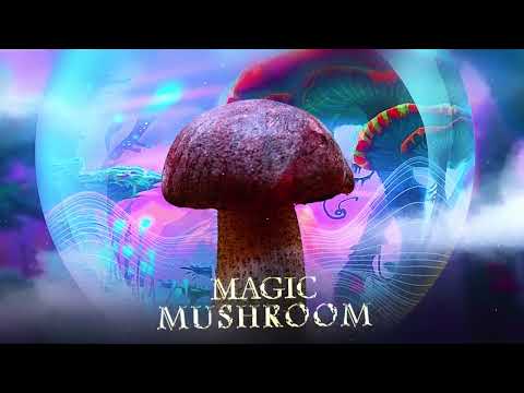 Alfons & Rasmus Gozzi - Magic Mushroom