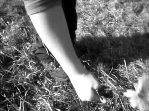 Aneta Langerová-Vzpomínka