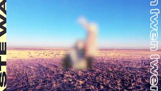 Waste Music Video