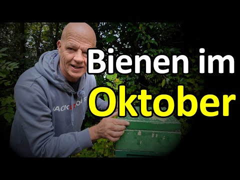 Bees in mid-October, what to do? Remove the feeding frame, install the vaporizer frame for the Va...