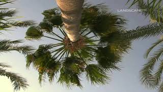 Tim Wheater - Spiritbirth (LandscapeHD)