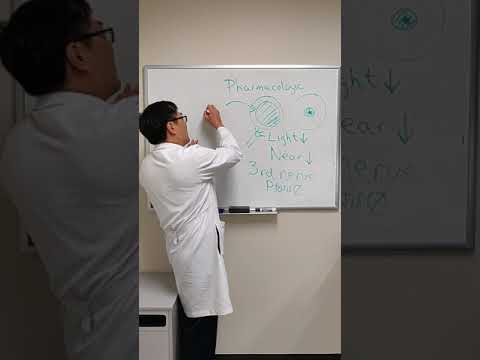 Pharmacological dilated pupil - YouTube
