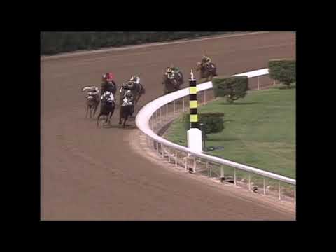 Breeders Cup Moments Part 2