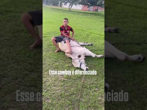 Bruno Alencar o cawboy de Mâncio Lima Acre em ação 👌😍😍