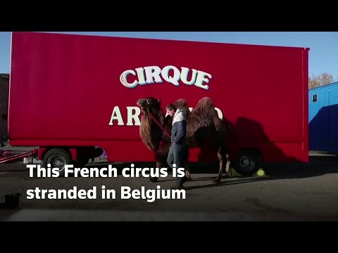 當馬戲團無法離城--法國家庭秀滯留比利時停車場。 (When the circus can't leave town - French family show stranded in Belgian car park)
