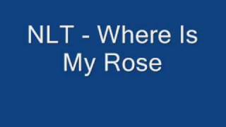 NLT Where Is My Rose