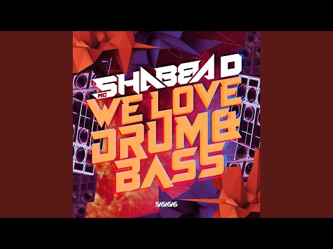 We Love Drum & Bass (Feat. Macky Gee & DJ Phantasy)