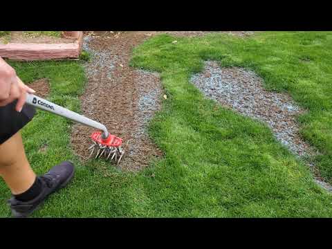 YouTube video about: Will birds eat my grass seed?
