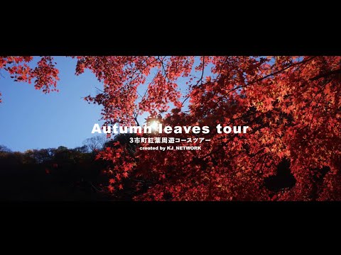 3市町紅葉周遊コース