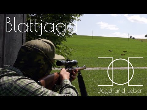 Blattjagd mit Chris, gemeinsam ein tolles Waidmannsheil!