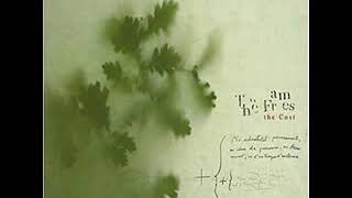 The Frames - Song for Someone