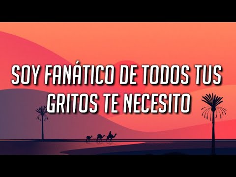 soy fanático de todos tus gritos te necesito (Song)