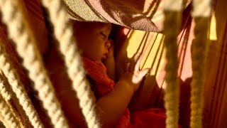 3 - Aus dem Kleinen erwächst das Große