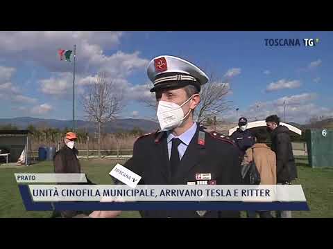 2022-02-08 PRATO - UNITÀ CINOFILA MUNICIPALE, ARRIVANO TESLA E RITTER