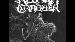 Reborn to Conquer - In the Jaws of the Kali Yuga