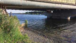 Где ловят сома в свердловской области