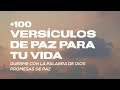 Versículos De Paz Promesas De Dios Duerme Con La Palabra De Dios Audio Biblia