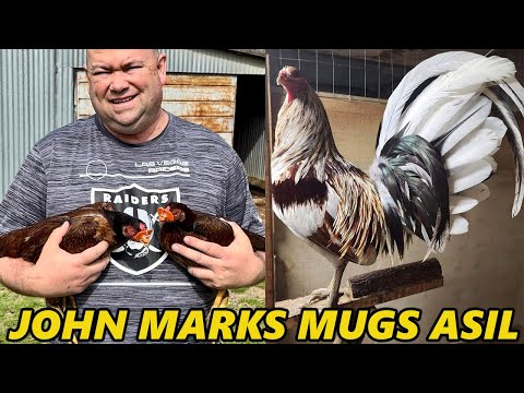 John Anthony Marks Farm - Marks Mugs Asil Palestine Texas