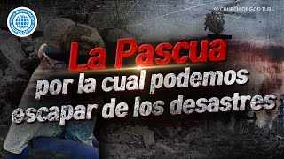La Iglesia de Dios guarda la Pascua que nos salva de los desastres