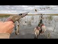 Flooded Corn Lever Action Shotgun Duck Hunting