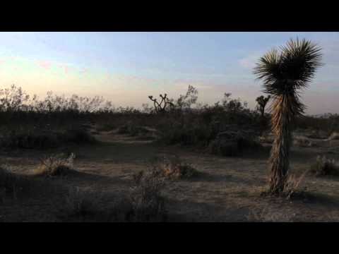 afbeelding Hollywood Talkies trailer H264