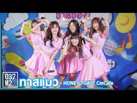 191005 CM Cafe Honey Toast - ทาสแมว @ มาหา(อะ)ลัยขายของ  [Overall Stage 4k60p]