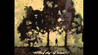 Bleed the dream - Broken wings