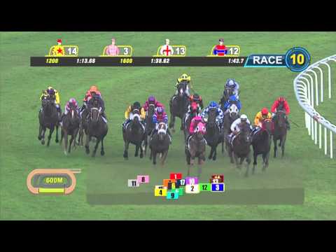 Longines Singapore Gold Cup 2015 (Cooptado)