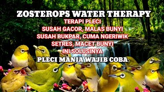 Download lagu Terapi air pleci macet bunyi SEKETIKA gacor dan bukpar, 99% AMPUH coba saja ..!! mp3