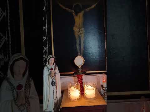 Adoración al Santísimo Sacramento del Altar con el Padre Fabian Esteban Oliva. 09/06/26