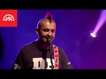 Divokej Bill - Lásko (Kryl 70) 