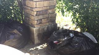 Paraiso ll Music Video