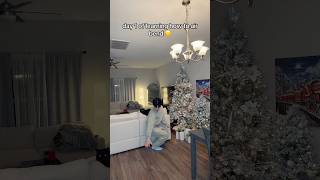 Download lagu even the cat was shocked 😭 #shorts mp3 Download lagu even the cat was shocked 😭 #shorts mp3