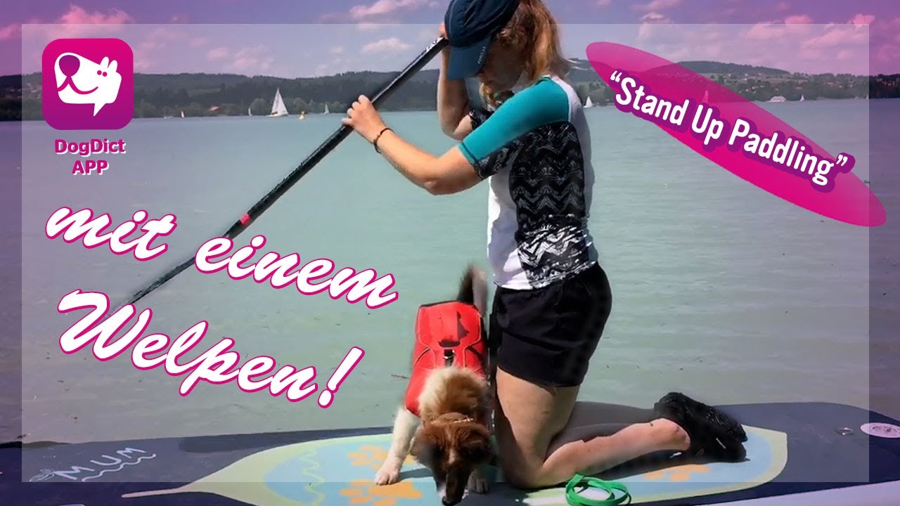 Folge 08: Stand up Paddling mit Hunden