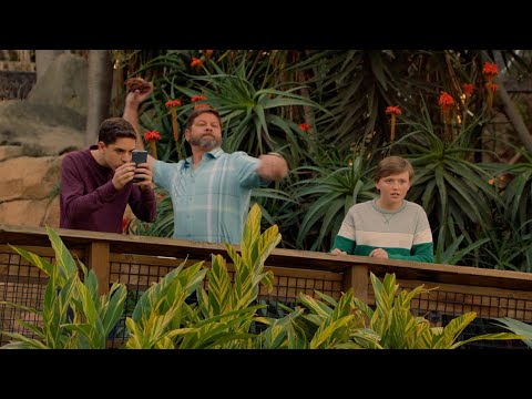 Man Hits Tiger with Pine Cones Just to Take a Front-Face Photo, and the Result Is Tragic