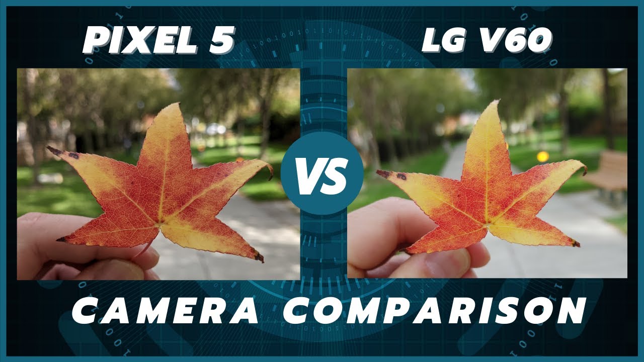 Google Pixel 5 vs LG V60 ThinQ 5G Camera Comparison